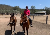 Anne van Zeeuw Werken met paarden in Australië 