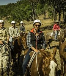 Werken met Paarden in Australie 